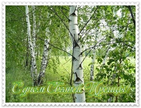 Я люблю тебя