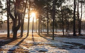 ПО ВЕСЕННЕМУ