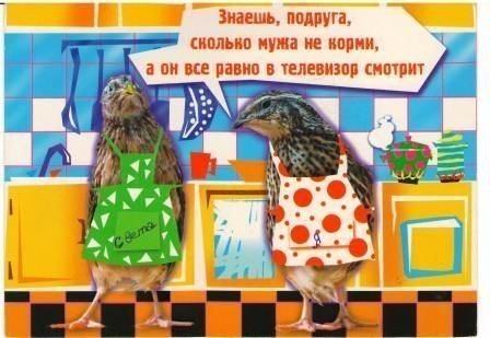 Муж и телевизор...