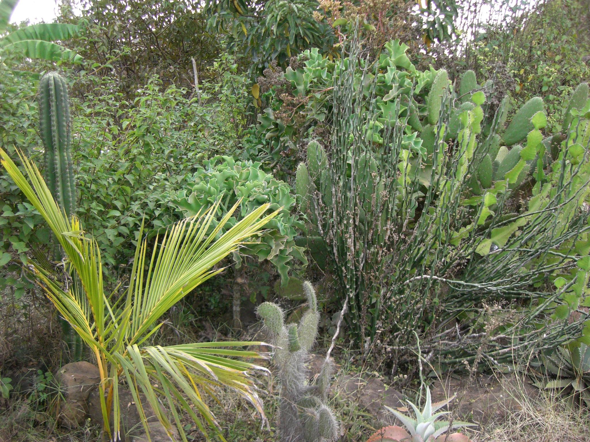 Мир наш изменился очень сильно