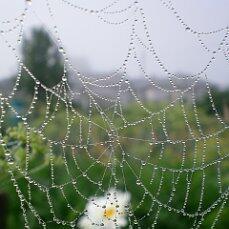 Бежит река...