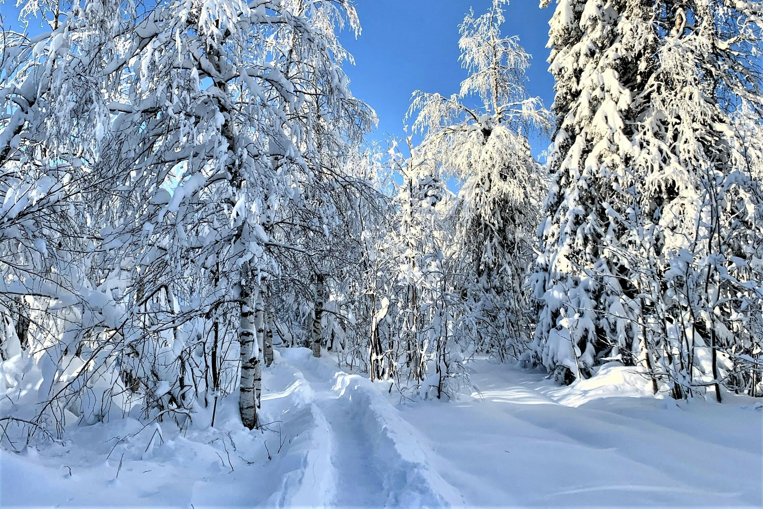 ПОСЛЕДНИЙ МЕСЯЦ ЗИМЫ