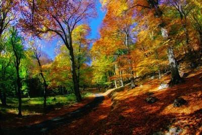 Где-то осень впереди