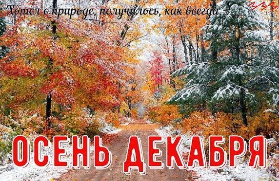 Осень декабря