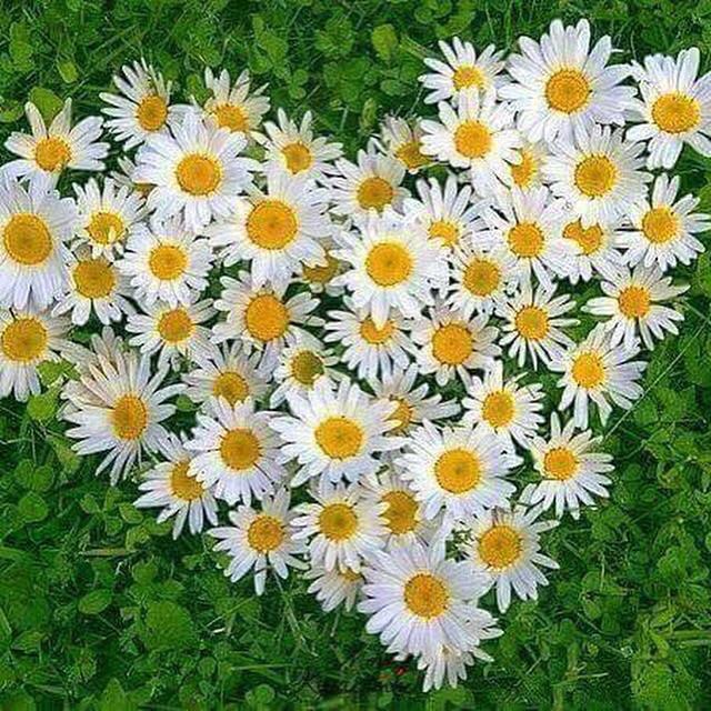 С неба капают дождинки!