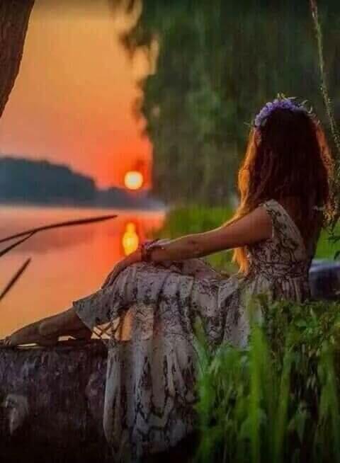 Последние солнечные лучи