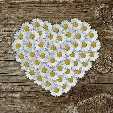 Я  ВАМИ ОЧЕНЬ ДОРОЖУ