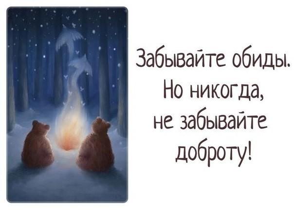 Медведь, открытки с обидой