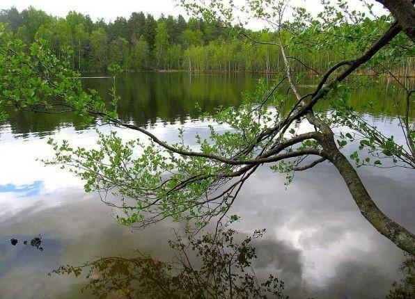 Партизанский Дом.