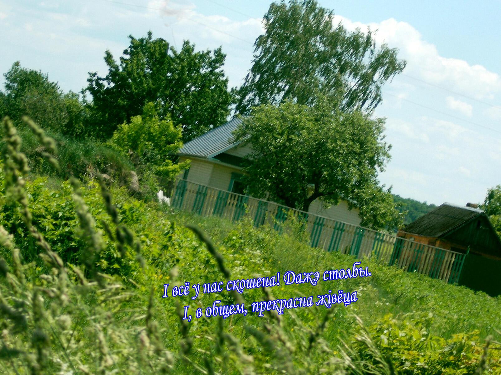 Водка ш липша тёплая.