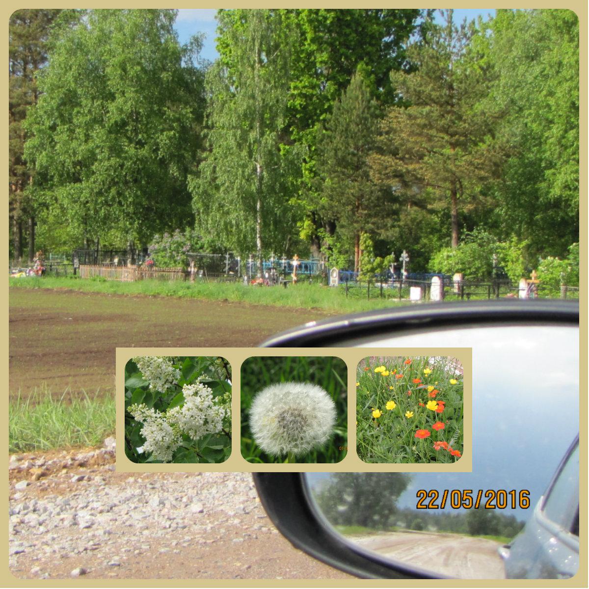 ПОЗАДИ ДОРОГА...