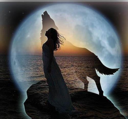 Полюбил Волчицу