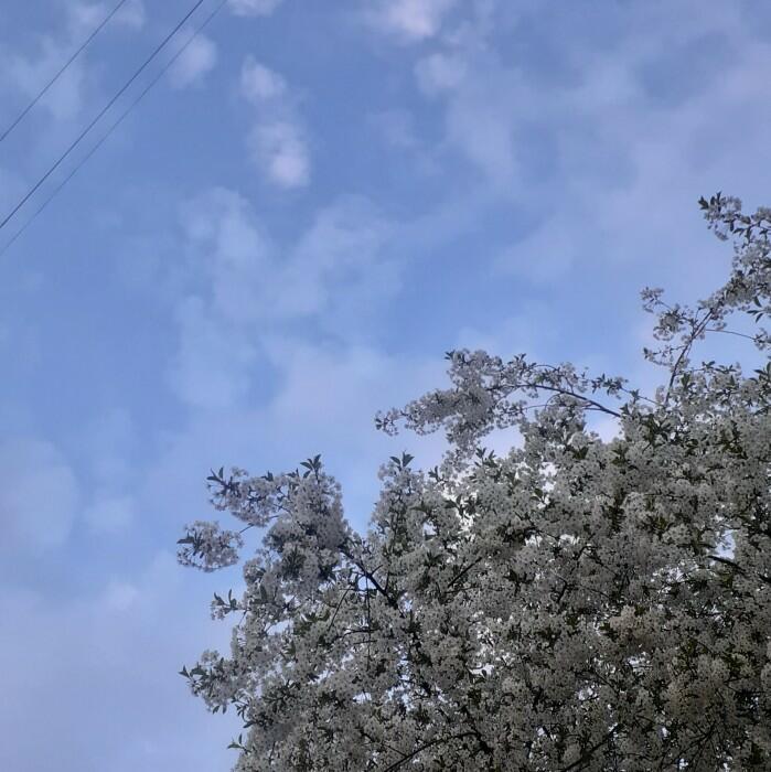 2 сигареты, 2 звонка, этаж 14