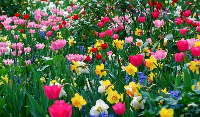 Я любил тебя искренне,страстно.