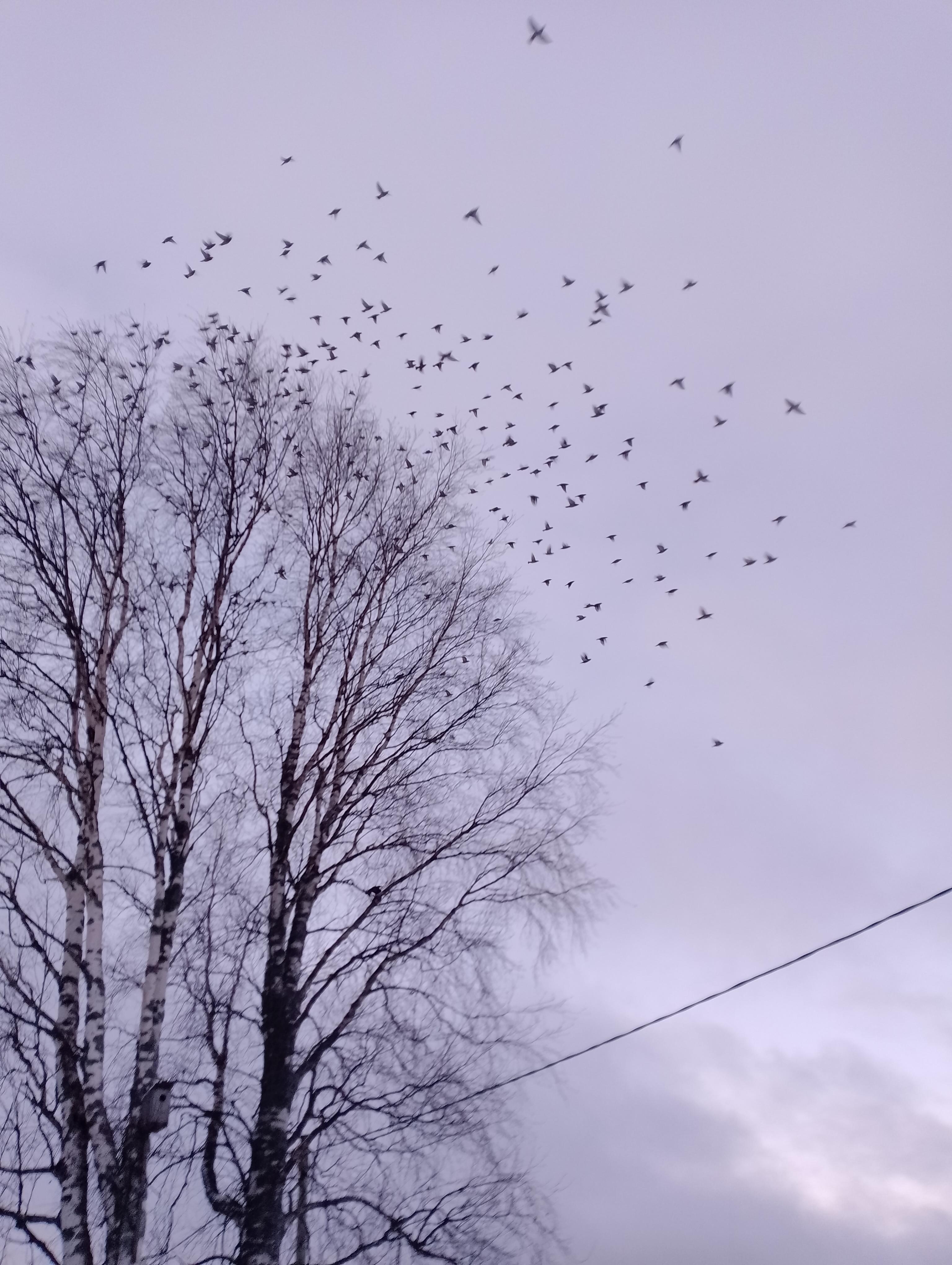 Преграды есть, но есть и цели