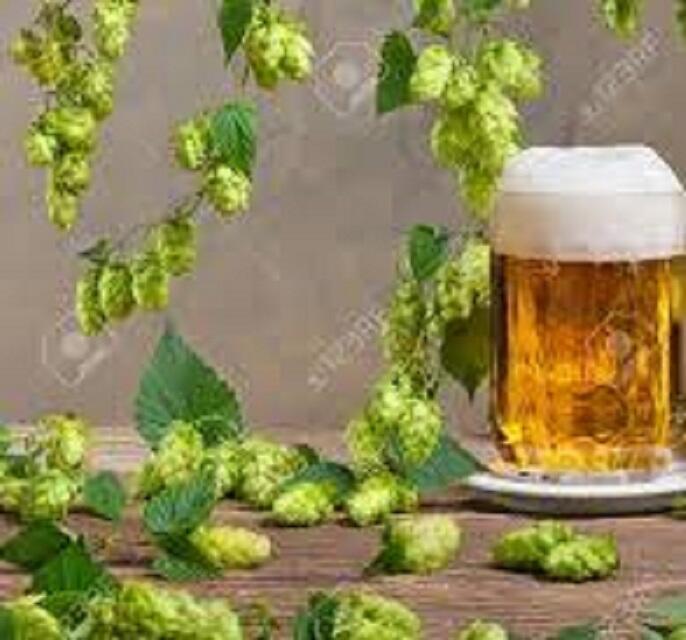 ТРЕЗВОСТЬ – НОРМА ЖИЗНИ_2