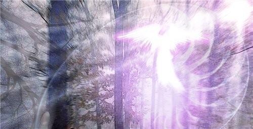 ЗАЧЕМ  И  ПОЧЕМУ?