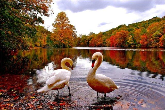 Осень призадержится
