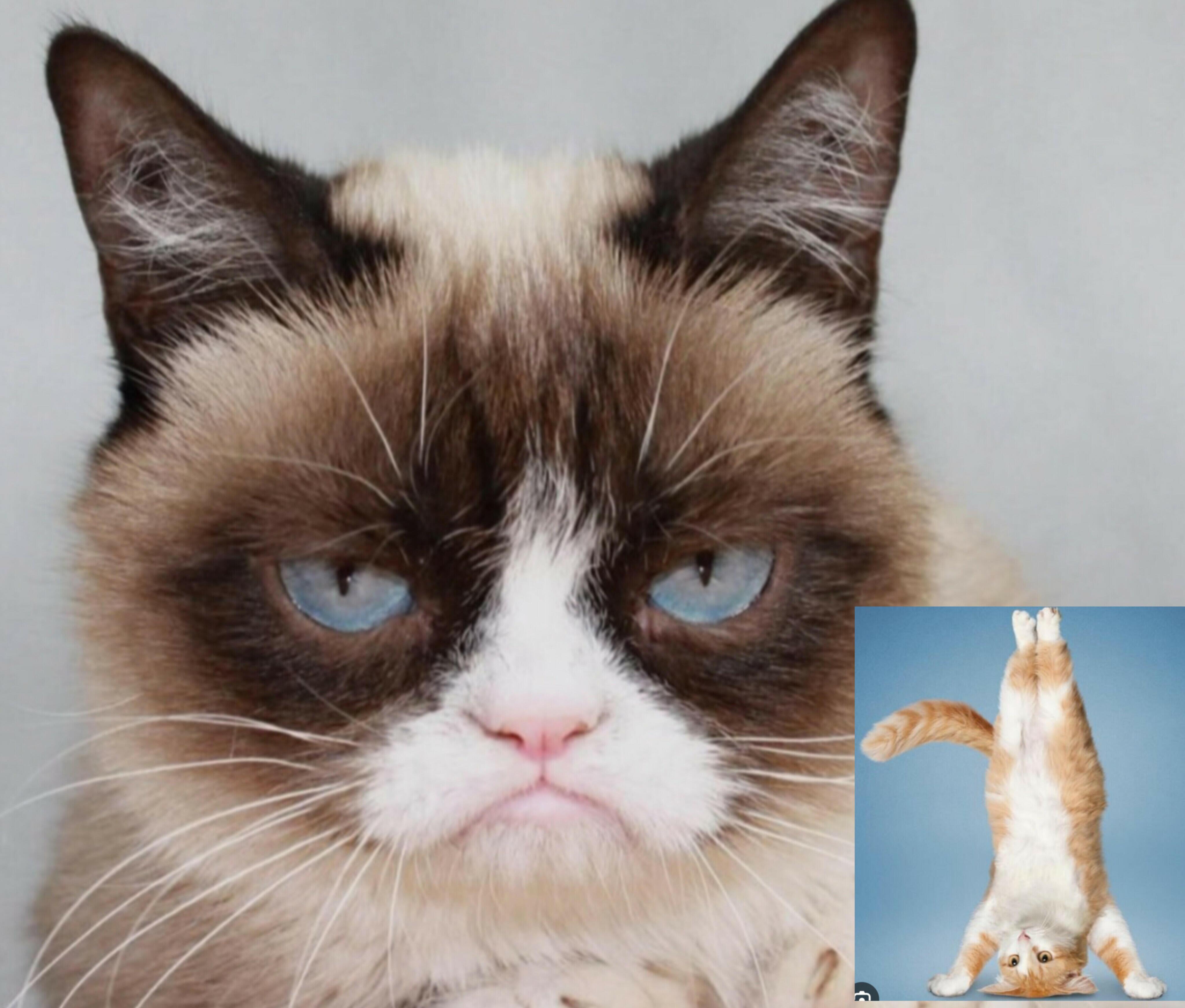 Вас? Не люблю!