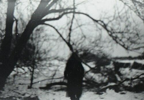 Тихим шагом к концу, к проотцам