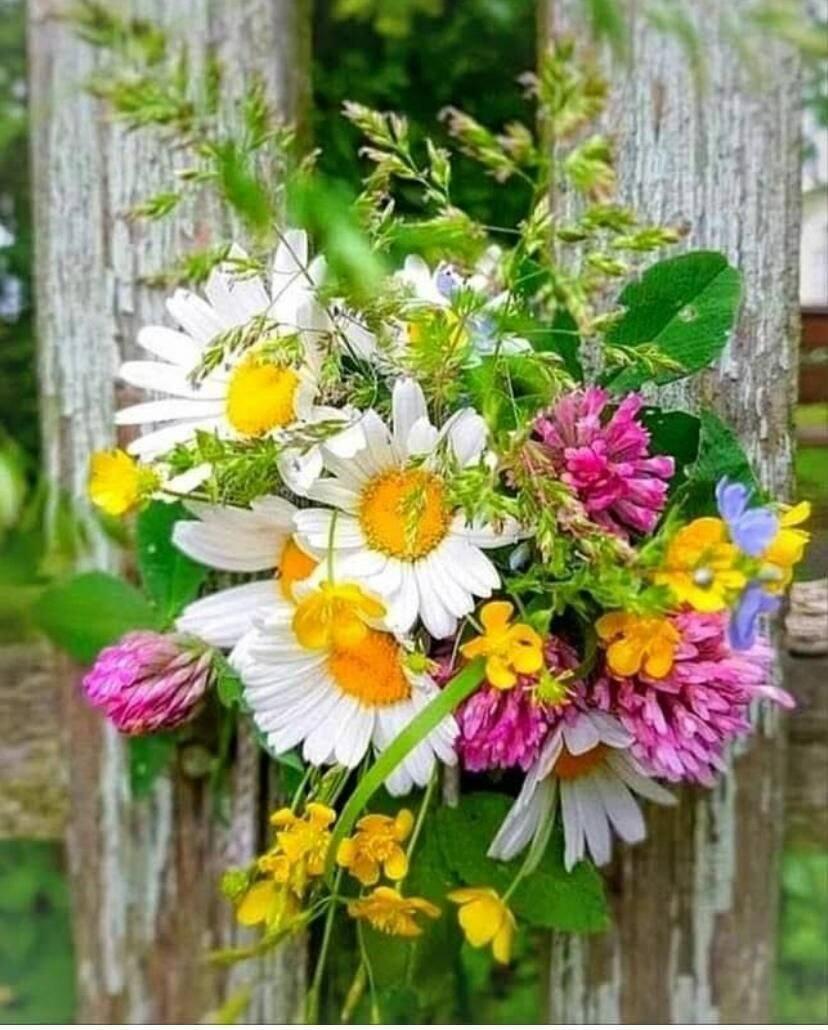 Ты слышишь молитвы 