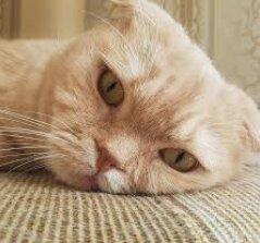 А может уже никогда.