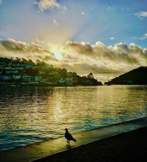 Рассвет высвечивает небо