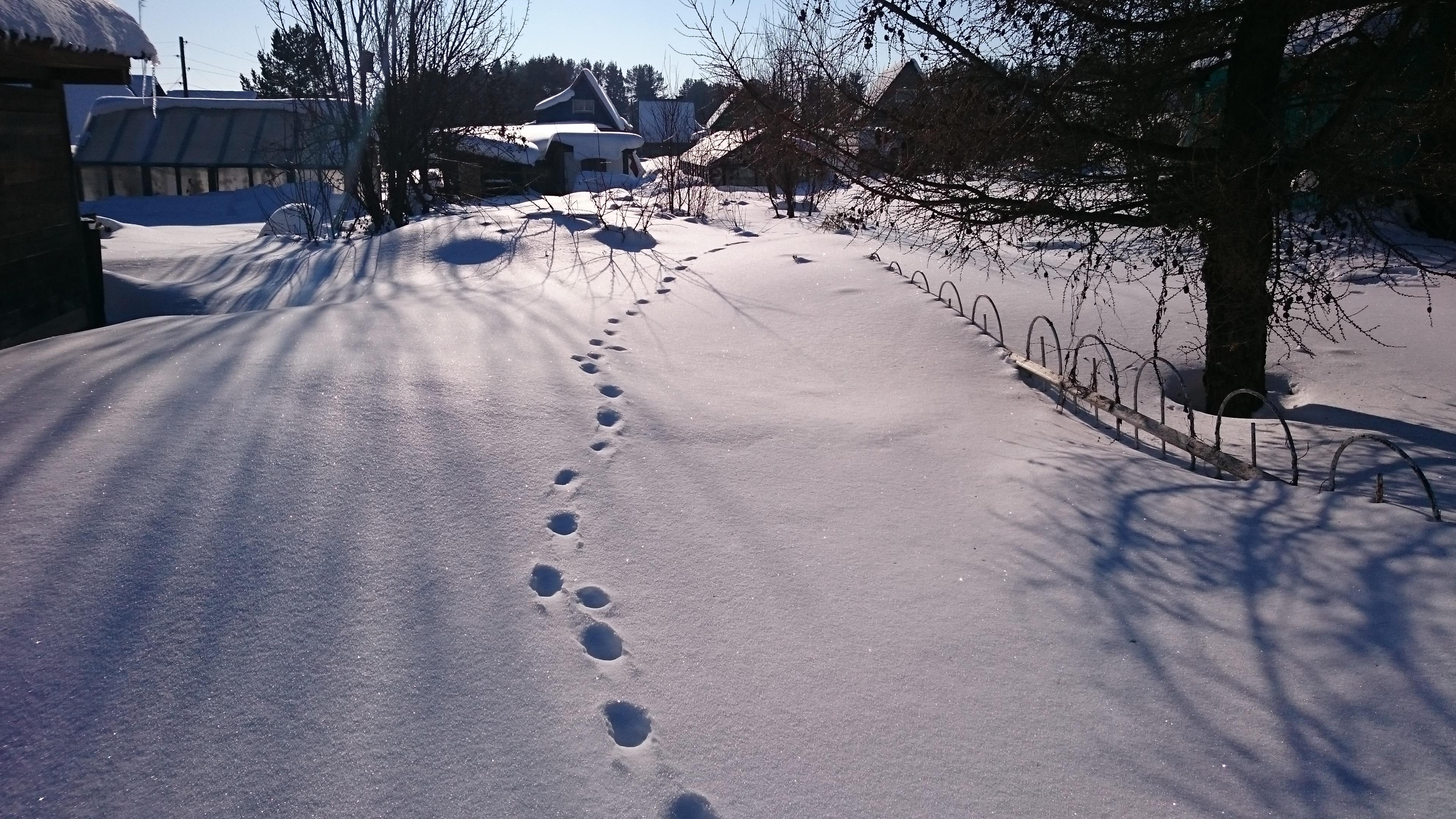 Снег в солнечных лучах...