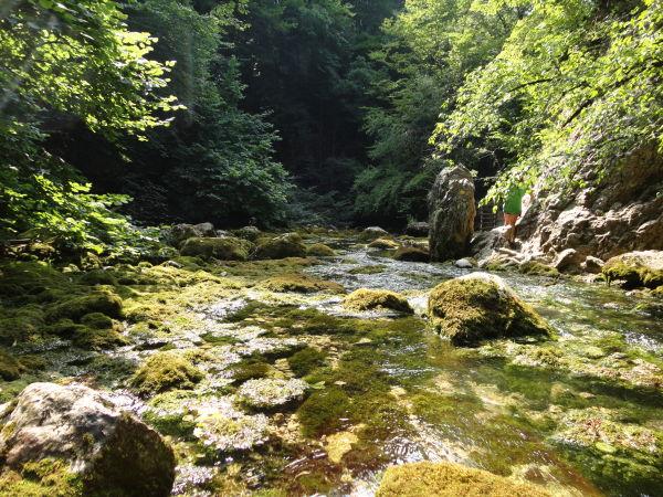 У ГОРНОЙ РЕЧКИ ТИШЬ БЛАГАЯ