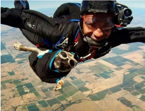 Два экстремала.