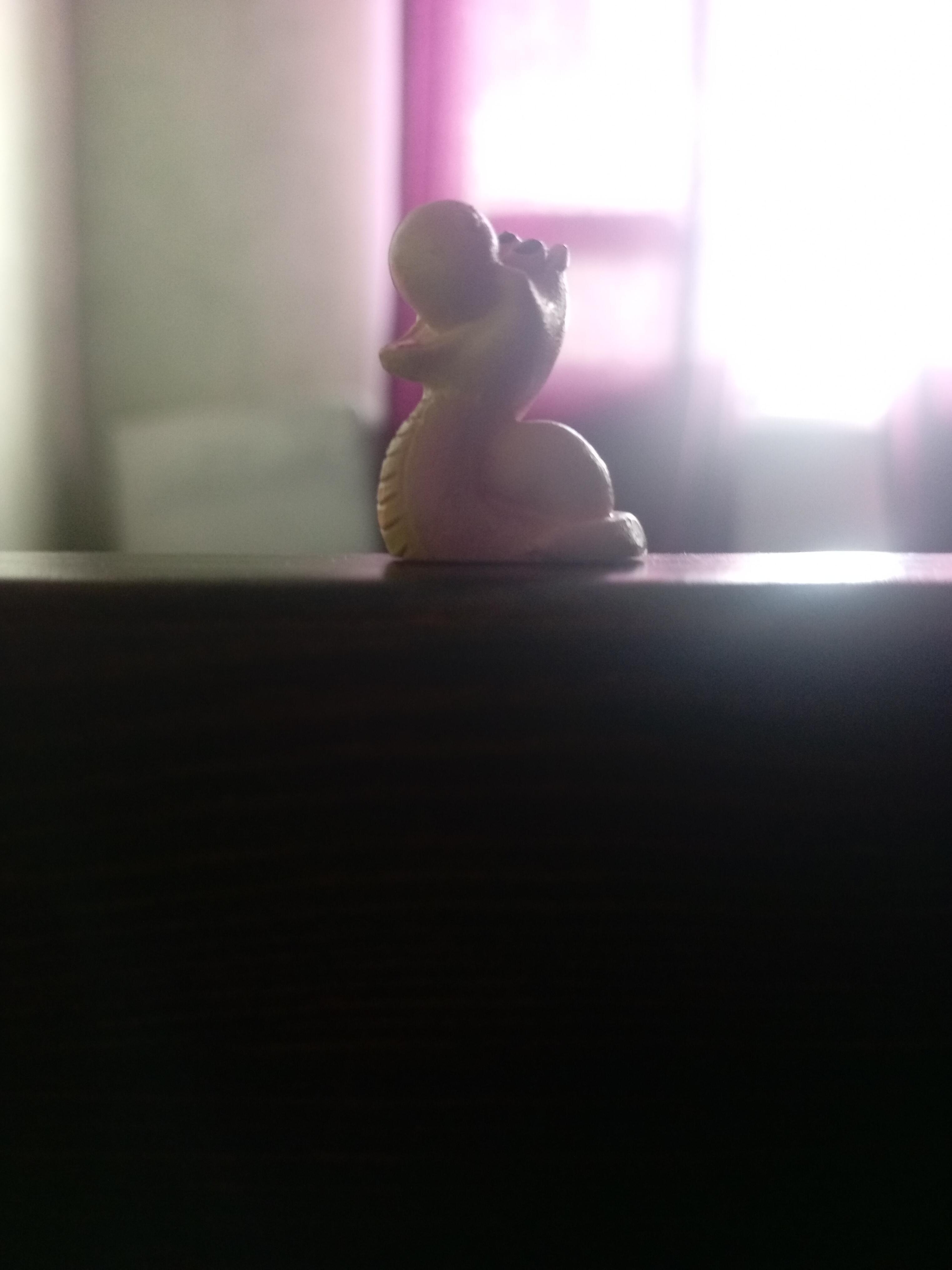 Змеёныш-тварёныш Сушка. Часть вторая.