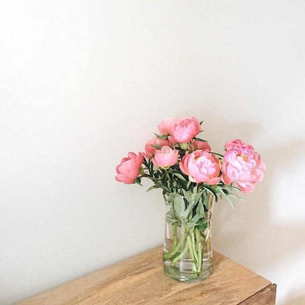 Здесь стихи такие