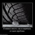 Фото Лойс
