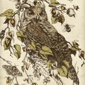 Поэт OWL, стихи которого вы можете прочитать в поэтической социальной сети Поэмбук.