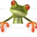 Поэт  Лягушка 蛙, стихи которого вы можете прочитать в поэтической социальной сети Поэмбук.