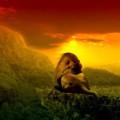 Поэт Lion from Zion, стихи которого вы можете прочитать в поэтической социальной сети Поэмбук.