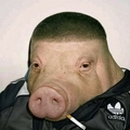 булка