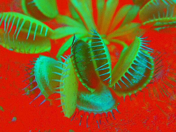 Вопрос к залу по следам известных событий