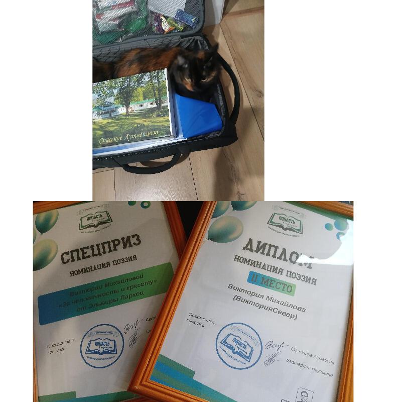 И снова о Воронеже. Попасть в переплёт