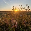 Фото Вероника