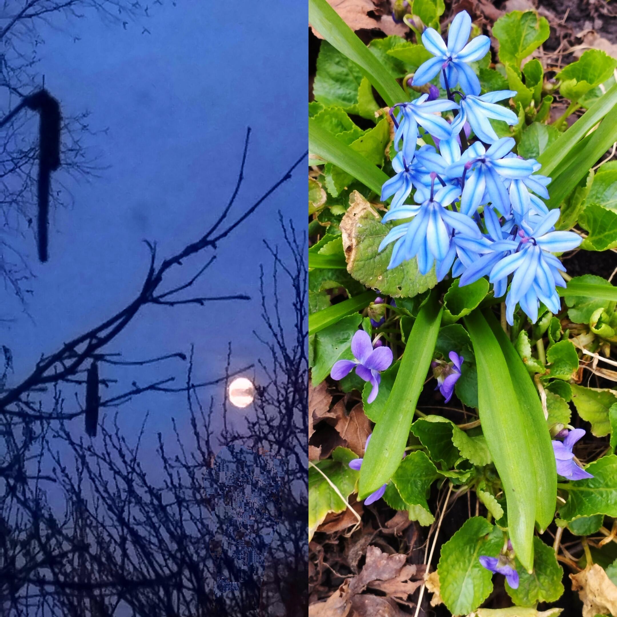 Апрельская Луна