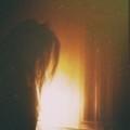 homeless_bee