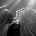 Поэт Серый ангел, стихи которого вы можете прочитать в поэтической социальной сети Поэмбук.
