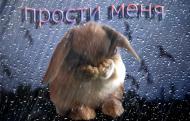 Гифки прости меня любимая зайка