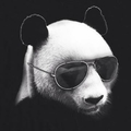 Гималов Рамиль