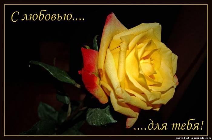 Абривиатурные