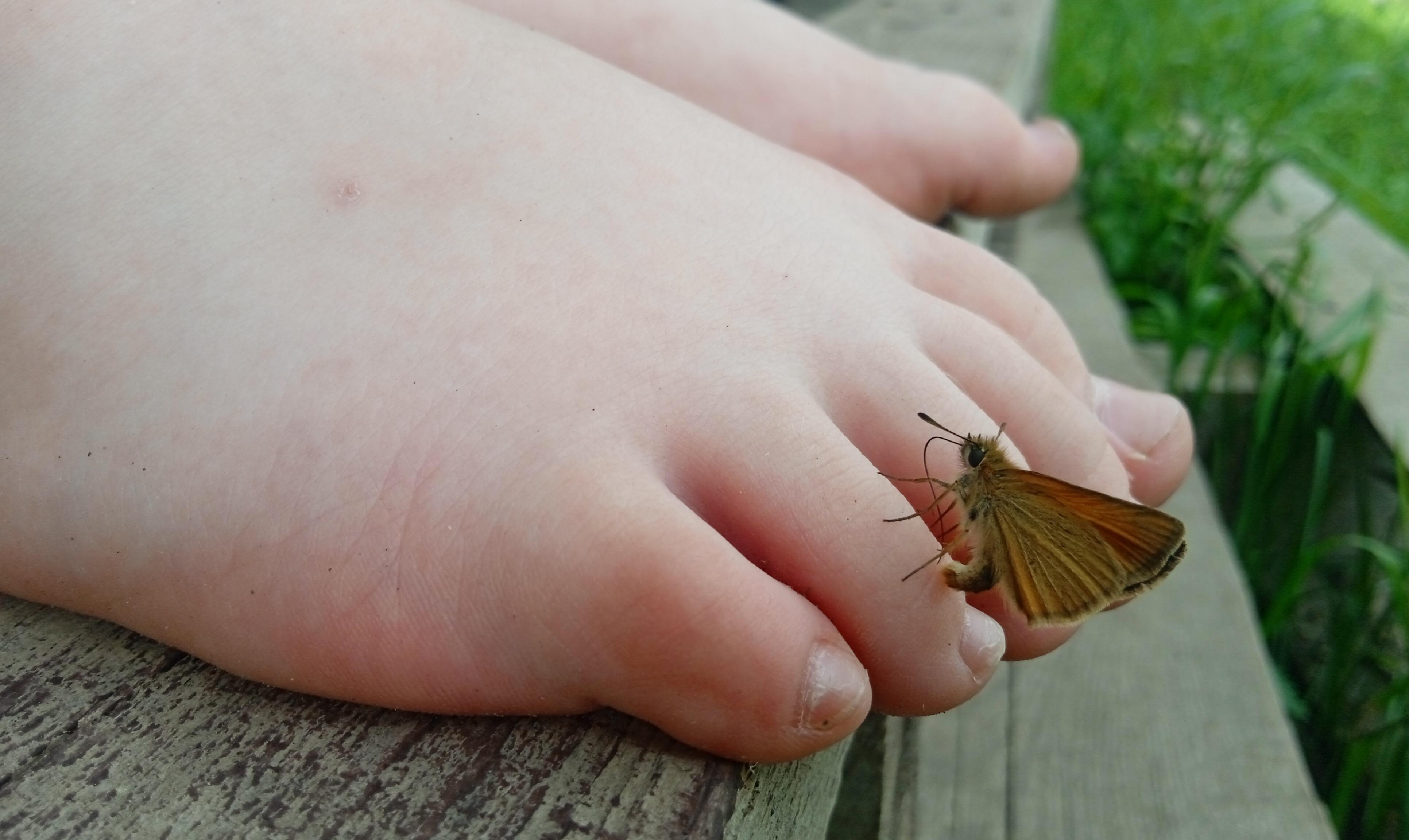 Лето... свет... благодать