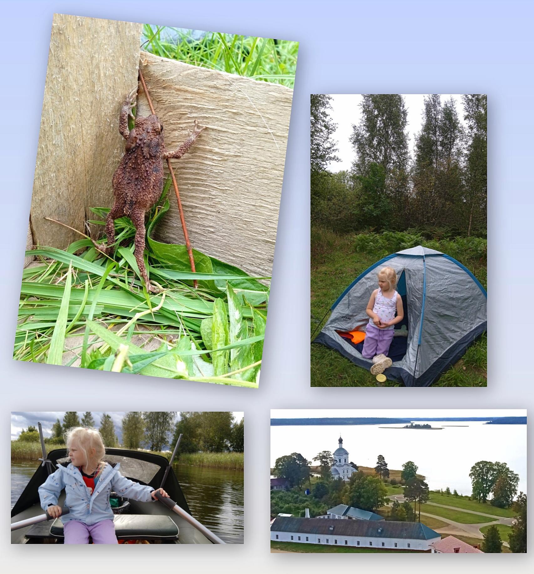 Коротать зиму буду с новым питомцем...