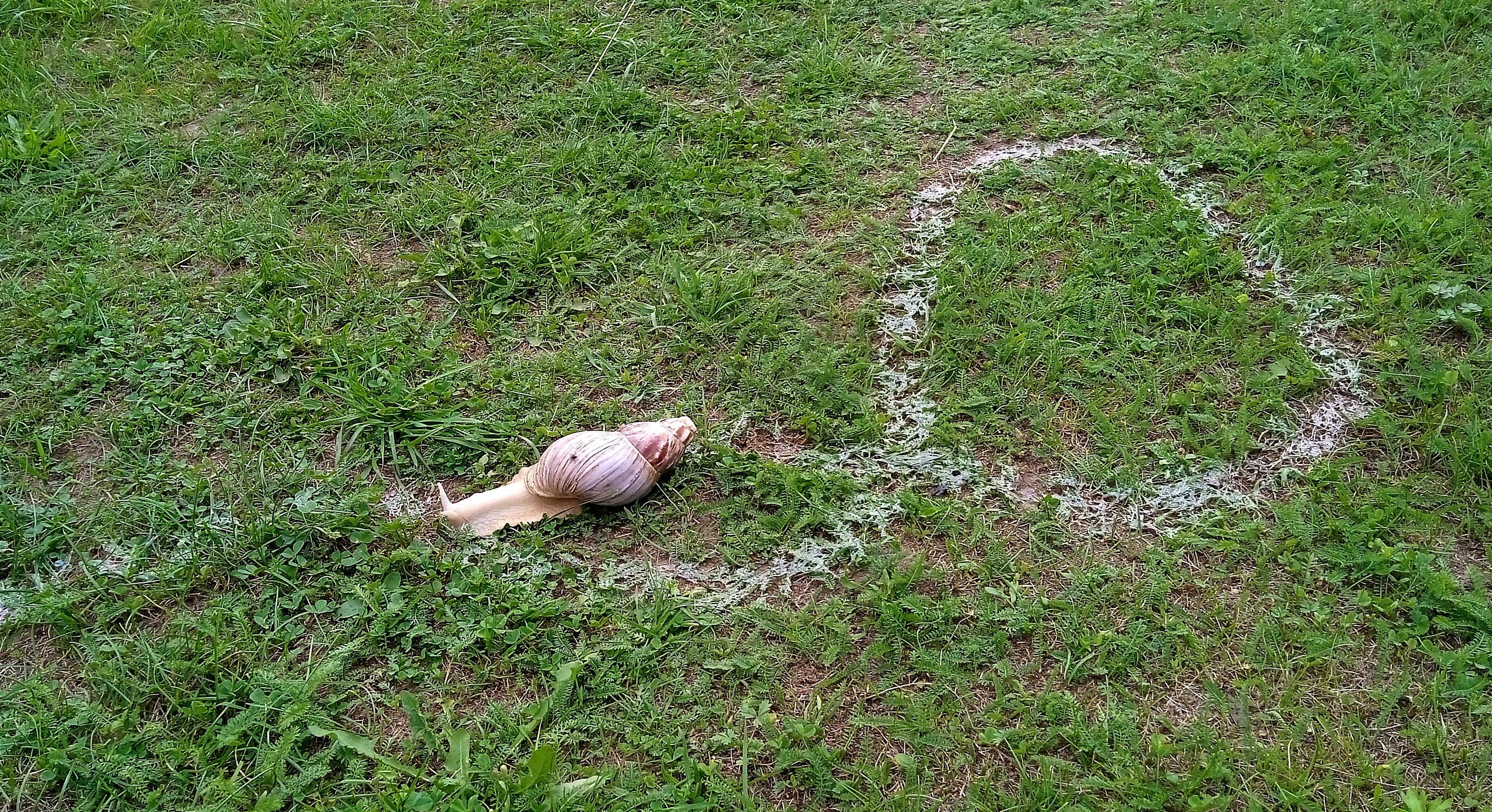 Утренняя зарисовка