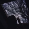 Апрельская Софья